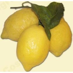Citrons Biologiques – 17 Kg