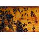 Miele fiori di Arancio Biologico - Ape Nera Sicula