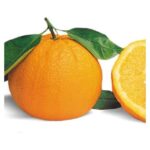 Arance Biologiche  Fioroni - 15kg